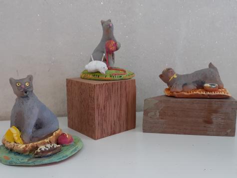 Gatto Certosino