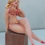 Ballerina di Lap Dance