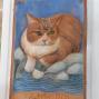 Il Gatto