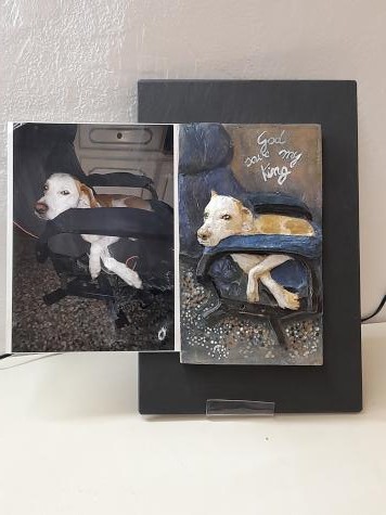 il mio Amico